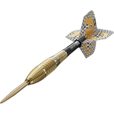 Steel Dartpfeil Set Target - Bolide Envy 05