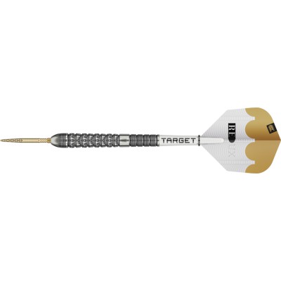 Steeltip Dart Target - Redux 03 SP