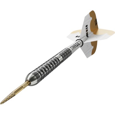 Steeltip Dart Target - Redux 03 SP