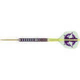 Steel Dartpfeil Set Target - Luke Littler World Champion 2025 Edition SP