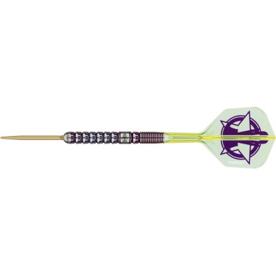 Steel Dartpfeil Set Target - Luke Littler World Champion 2025 Edition SP