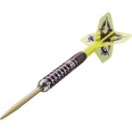 Steel Dartpfeil Set Target - Luke Littler World Champion 2025 Edition SP