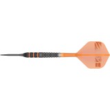 Steel Dartpfeil Set Target - Raymond van Barneveld 95k SP