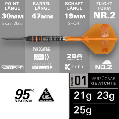 Steeltip Dart Target - Raymond van Barneveld 95k SP