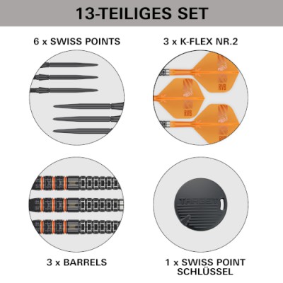 Steeltip Dart Target - Raymond van Barneveld 95k SP