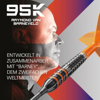 Steeltip Dart Target - Raymond van Barneveld 95k SP