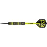 Steeltip Darts Winmau - Michael van Gerwen Ambition