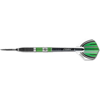 Steeltip Darts Winmau - Daryl Gurney Spezial Edition