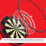 Dartboard Bristle Target Tor EVO