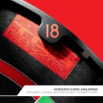 Dartboard Bristle Target Tor EVO