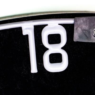 Bull`s Dartboard Number Ring