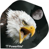 Bulls Power Flite Standard - Sea Eagle