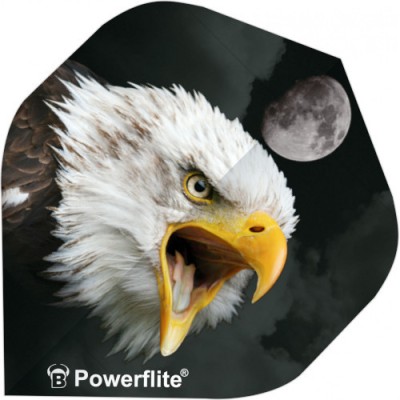 Bulls Power Flite Standard - Seeadler