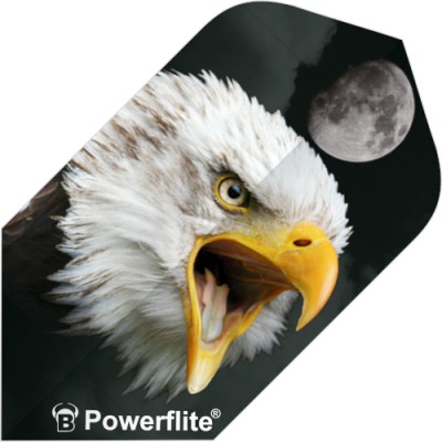 Bulls Power Flite Slim - Seeadler