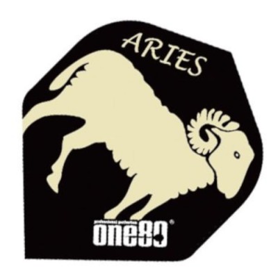 Constellation Flight Standard - Aries